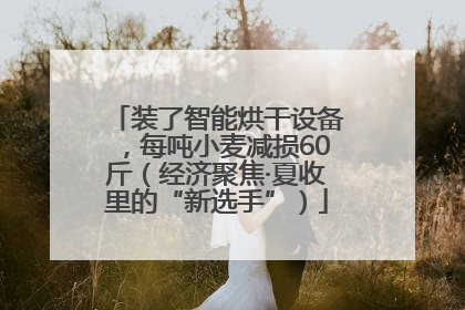 装了智能烘干设备，每吨小麦减损60斤（经济聚焦·夏收里的“新选手”）