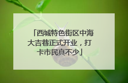西城特色街区中海大吉巷正式开业，打卡市民真不少