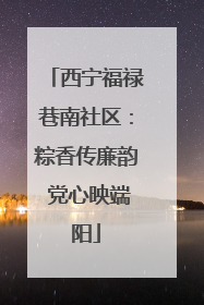 西宁福禄巷南社区：粽香传廉韵 党心映端阳