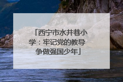 西宁市水井巷小学：牢记党的教导 争做强国少年
