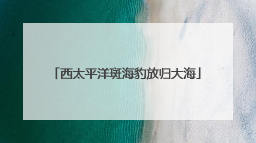 西太平洋斑海豹放归大海
