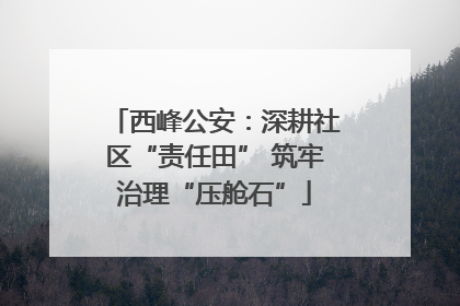 西峰公安：深耕社区“责任田” 筑牢治理“压舱石”