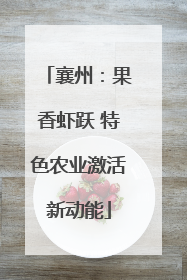 襄州：果香虾跃 特色农业激活新动能