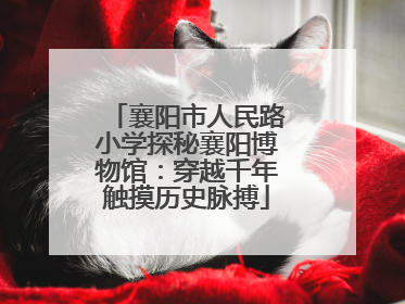 襄阳市人民路小学探秘襄阳博物馆：穿越千年触摸历史脉搏