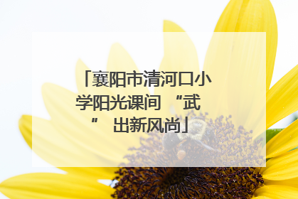 襄阳市清河口小学阳光课间 “武” 出新风尚