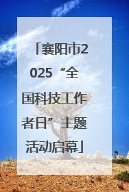 襄阳市2025“全国科技工作者日”主题活动启幕