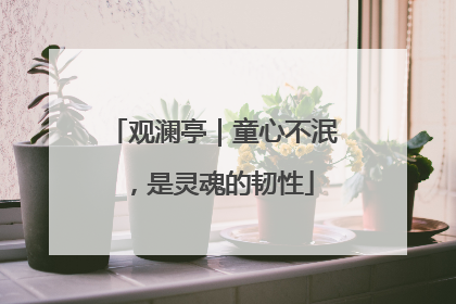 观澜亭｜童心不泯，是灵魂的韧性