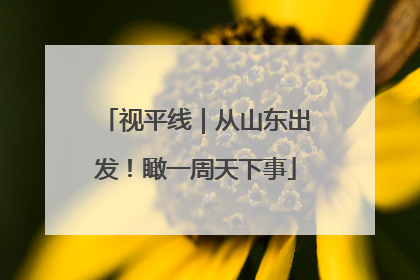 视平线｜从山东出发！瞰一周天下事