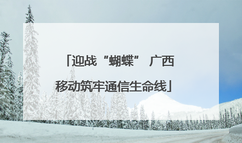 迎战“蝴蝶” 广西移动筑牢通信生命线