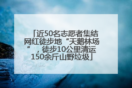 近50名志愿者集结网红徒步地“天鹅林场”，徒步10公里清运150余斤山野垃圾