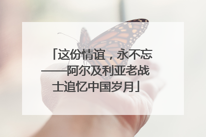 这份情谊，永不忘——阿尔及利亚老战士追忆中国岁月