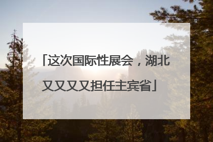 这次国际性展会，湖北又又又又担任主宾省