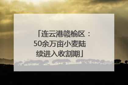 连云港赣榆区：50余万亩小麦陆续进入收割期