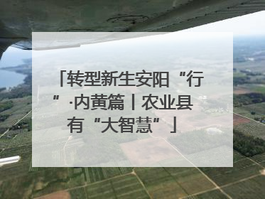 转型新生安阳“行”·内黄篇丨农业县有“大智慧”