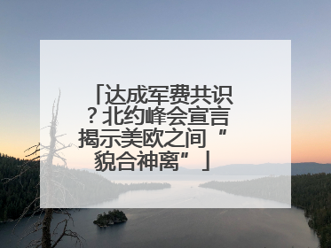 达成军费共识？北约峰会宣言揭示美欧之间“貌合神离”