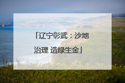 辽宁彰武：沙地治理 造绿生金