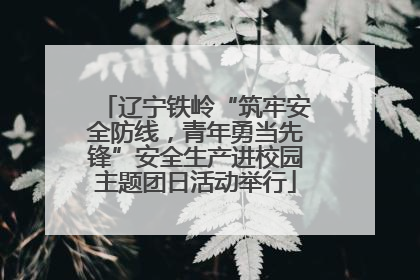 辽宁铁岭“筑牢安全防线，青年勇当先锋”安全生产进校园主题团日活动举行