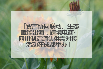 贸产协同联动、生态赋能出海，跨境电商·四川制造源头供需对接活动在成都举办