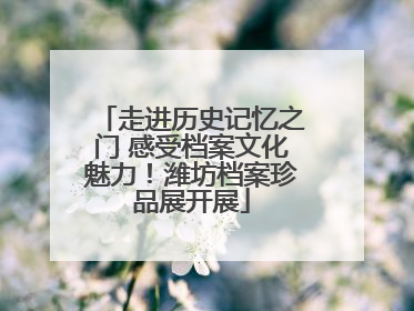 走进历史记忆之门 感受档案文化魅力！潍坊档案珍品展开展
