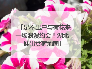 足不出户与荷花来一场浪漫约会！湖北推出赏荷地图