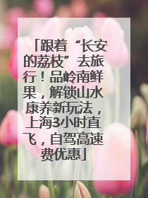 跟着“长安的荔枝”去旅行！品岭南鲜果，解锁山水康养新玩法，上海3小时直飞，自驾高速费优惠