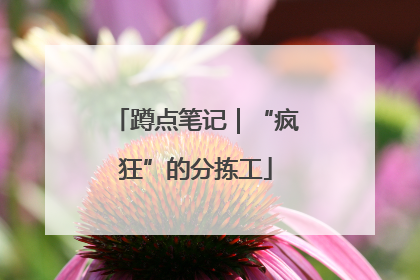 蹲点笔记｜“疯狂”的分拣工