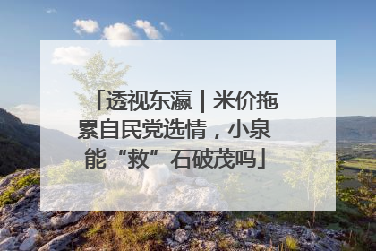 透视东瀛｜米价拖累自民党选情，小泉能“救”石破茂吗