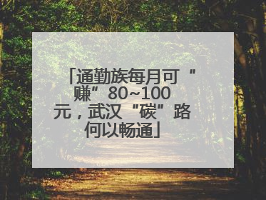 通勤族每月可“赚”80~100元，武汉“碳”路何以畅通