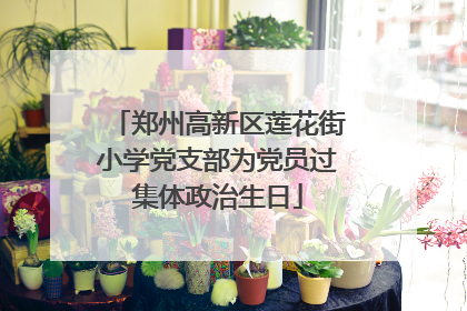郑州高新区莲花街小学党支部为党员过集体政治生日
