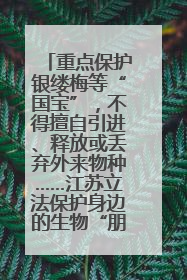 重点保护银缕梅等“国宝”，不得擅自引进、释放或丢弃外来物种……江苏立法保护身边的生物“朋友圈”
