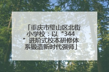 重庆市璧山区北街小学校：以“344”进阶式校本研修体系锻造新时代强师