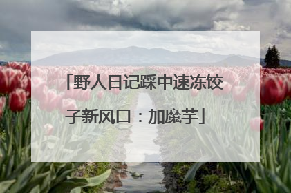 野人日记踩中速冻饺子新风口：加魔芋