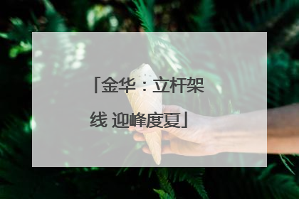 金华：立杆架线 迎峰度夏