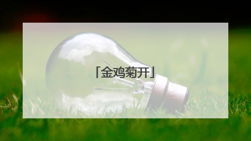 金鸡菊开