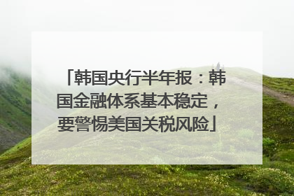 韩国央行半年报：韩国金融体系基本稳定，要警惕美国关税风险
