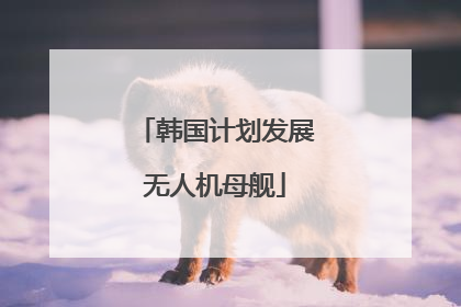 韩国计划发展无人机母舰
