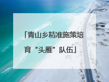 青山乡精准施策培育“头雁”队伍