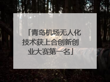 青岛机场无人化技术获上合创新创业大赛第一名