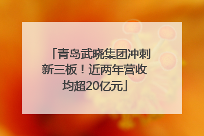 青岛武晓集团冲刺新三板！近两年营收均超20亿元