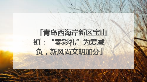 青岛西海岸新区宝山镇：“零彩礼”为爱减负，新风尚文明加分