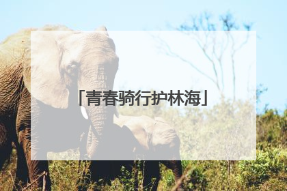 青春骑行护林海