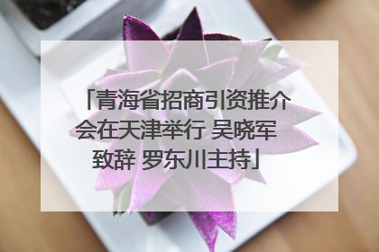 青海省招商引资推介会在天津举行 吴晓军致辞 罗东川主持