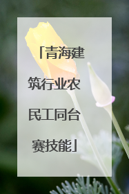 青海建筑行业农民工同台赛技能