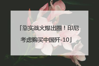 靠实战火爆出圈！印尼考虑购买中国歼-10