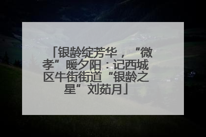 银龄绽芳华，“微孝”暖夕阳：记西城区牛街街道“银龄之星”刘茹月