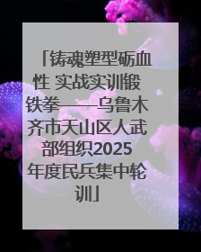 铸魂塑型砺血性 实战实训锻铁拳——乌鲁木齐市天山区人武部组织2025年度民兵集中轮训