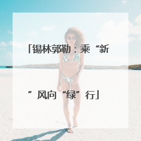 锡林郭勒：乘“新”风向“绿”行
