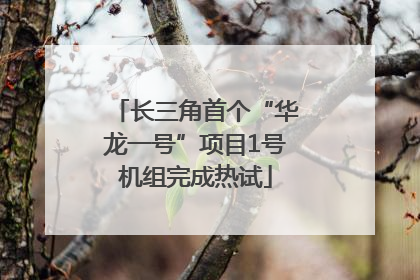 长三角首个“华龙一号”项目1号机组完成热试