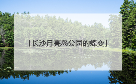长沙月亮岛公园的蝶变