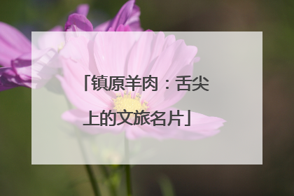 镇原羊肉：舌尖上的文旅名片
